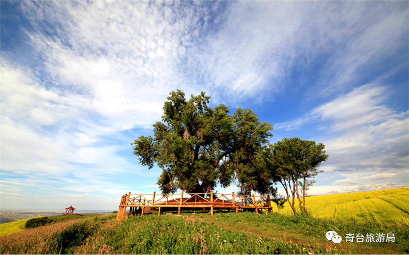 天山一号风景道奇台段自驾游玩，美到极致！