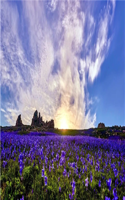 来油画中的塔城必打卡的景区景点