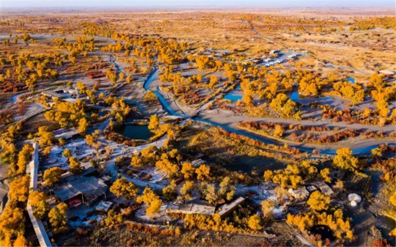 红色线路推荐⑤ 南疆这些红色景点，实力“圈粉”