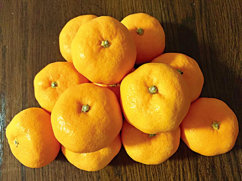 ﻿简饮择食/夏日炎炎吃蜜柑\简嘉明