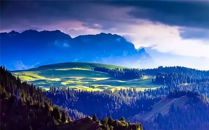 打卡昌吉~ 江布拉克：期待“夏”一秒遇见你