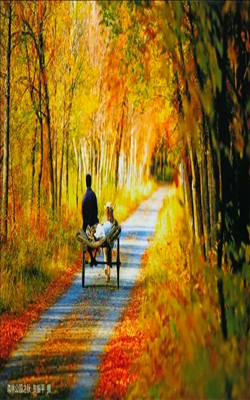 【塔城市】是一座怎么样的城市?