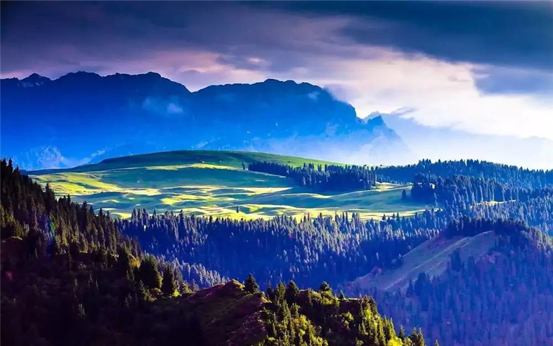 #打卡昌吉 森呼吸、泡温泉……换种方式拥抱夏天！