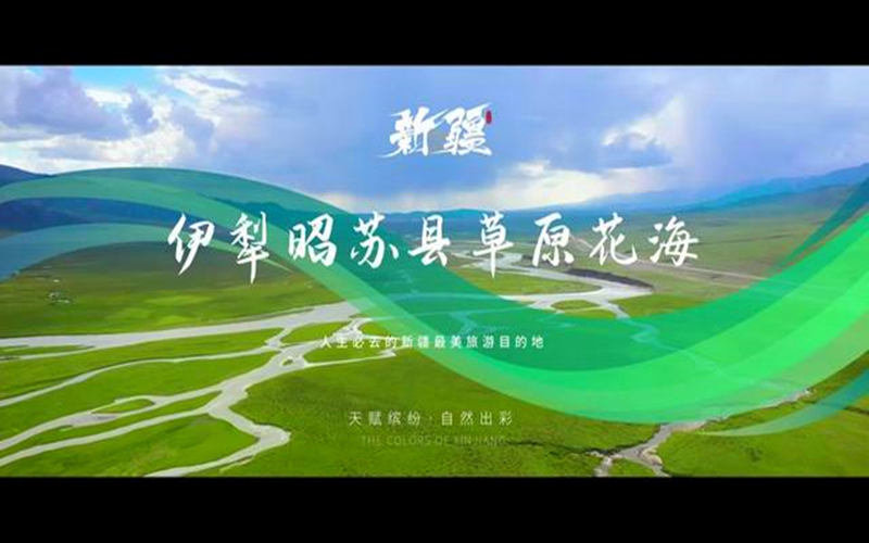 人生必去的新疆最美旅游目的地——伊犁昭苏县草原花海