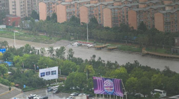 河南：严禁迟报、瞒报、漏报重要汛情灾情信息