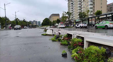 国家邮政局：启动应急响应 快递业全力应对河南强降雨