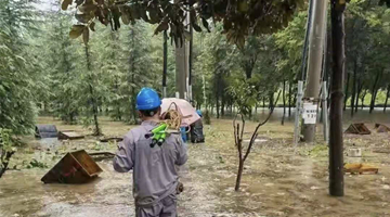 交通运输部印发通知 部署做好城市轨道交通防汛工作