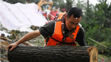 解放军来了！风雨有我在，请人民放心