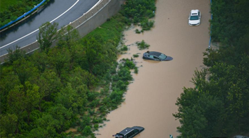 极端天气近期在全球多地出现 背后有无共性原因?