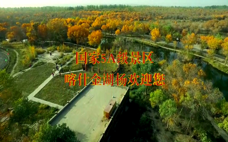 相约喀什金胡杨