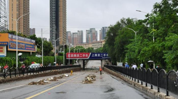 民政部：做好防汛救灾工作 保障受灾群众基本生活