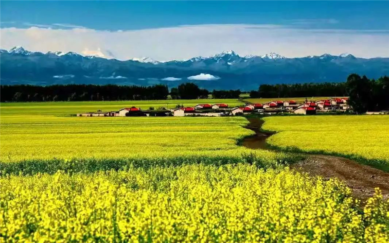 游兵团，正当时！