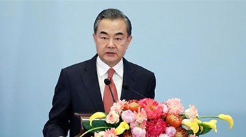 王毅正告域外势力：勿再把黑手伸向南海