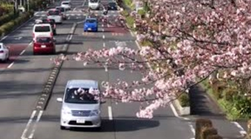 武汉本轮疫情源头公布 关联同一工地及外省旅游团