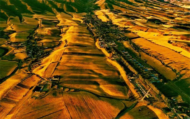 #打卡昌吉 大地的调色板，平顶山万亩旱田