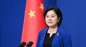 巴基斯坦公布达苏恐袭事件调查进展 外交部回应