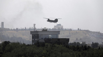 美国防部回应喀布尔机场悲剧：距离太远不清楚