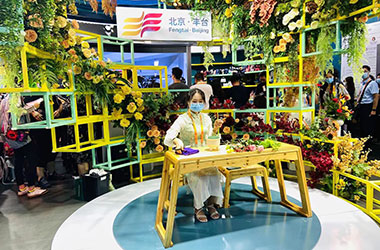 丰台“妙笔生花．丰采无限”文旅服务专题展华丽亮相服贸会