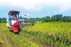 河南农民丰收节活动方案出炉