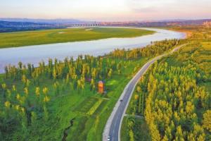 破产化肥厂变身清洁能源“领头羊”