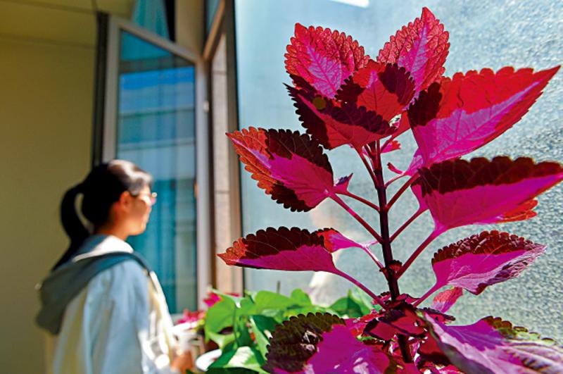 ﻿杏林细语/勿与情绪病患者正面冲突