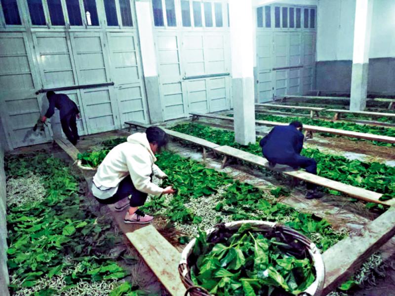 田野调查/更大力度地介入生活现场