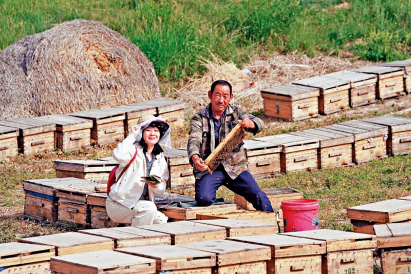入乡随俗/面对写作对象 “不刺探、不打扰”