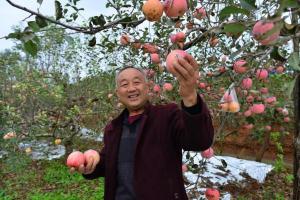 洛阳移动开通首批700M 5G基站 移动5G网络十一月底覆盖洛阳市乡镇以上城区