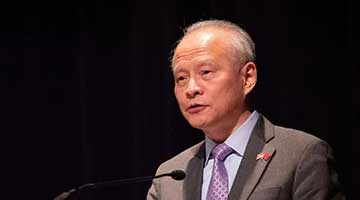 崔天凯批美国操弄台湾问题：我们不会让它得逞