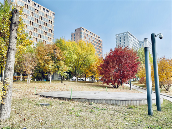 探訪「冬奧村」：踐行理念 ，宜居宜人