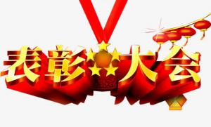 河南2个集体5名个人获全国应急管理系统表彰