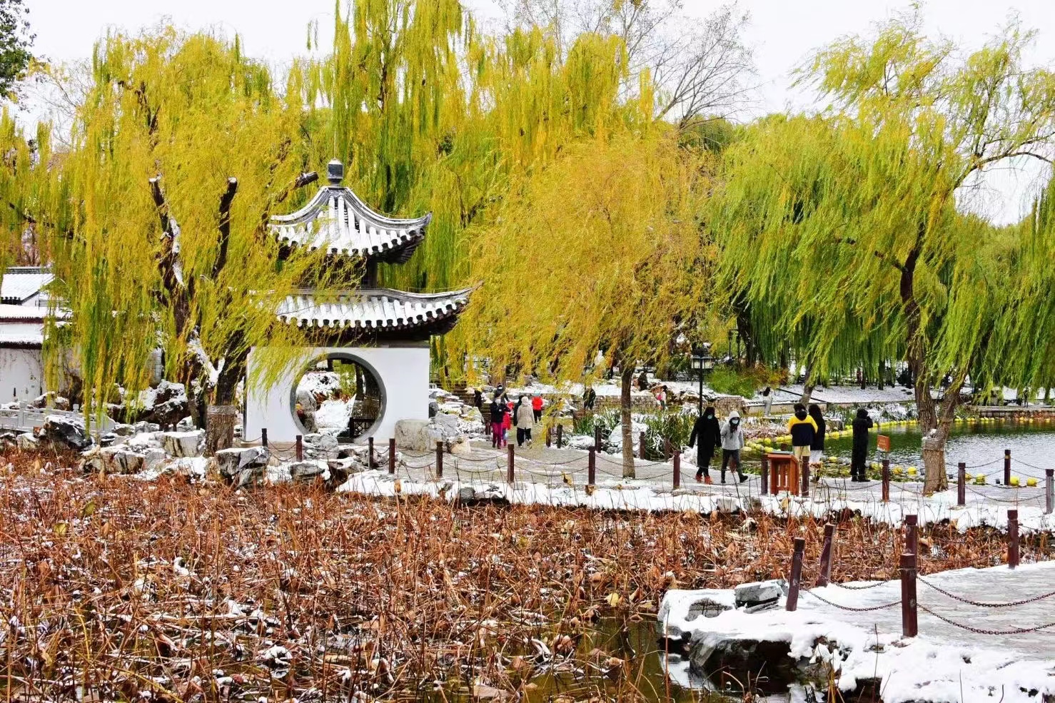 瑞雪臨京 奧城冬韻下的陶然亭公園