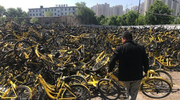 拉好友还是拉仇人? ofo退押新套路被骂上热搜