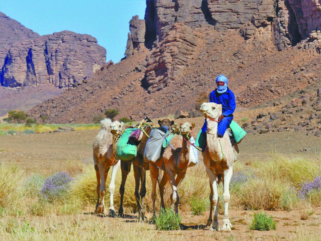 “撒哈拉蓝人”，沙漠中的行吟诗人