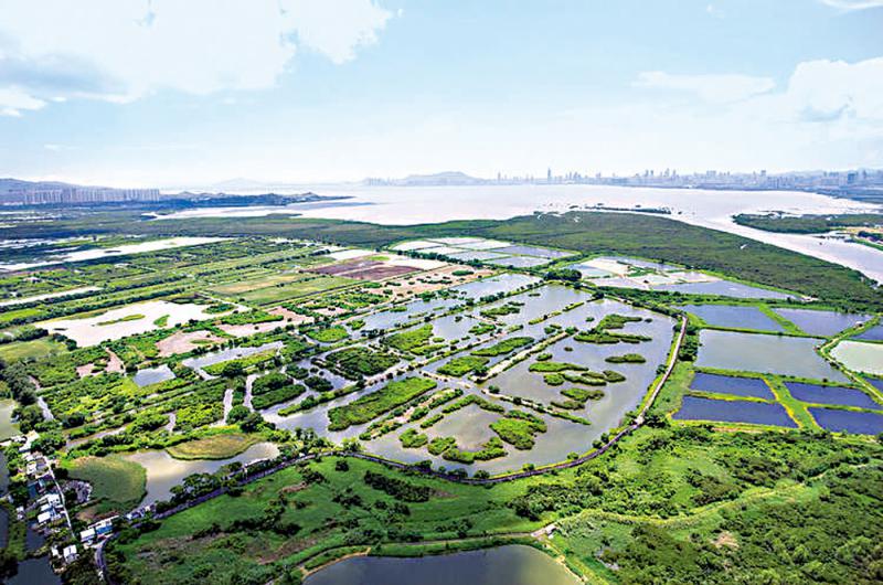 香江风情 | 湿地探秘，步走米埔