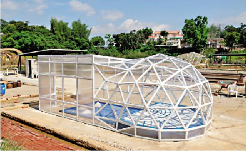 柳絮纷飞/盐田仔沧桑