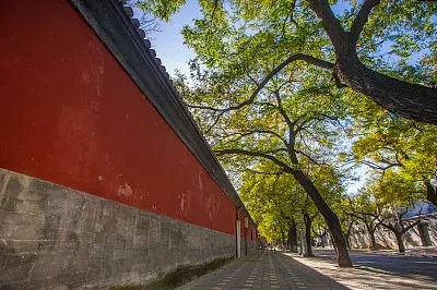 私藏级遛娃宝地：京城那些有故事的小众街区