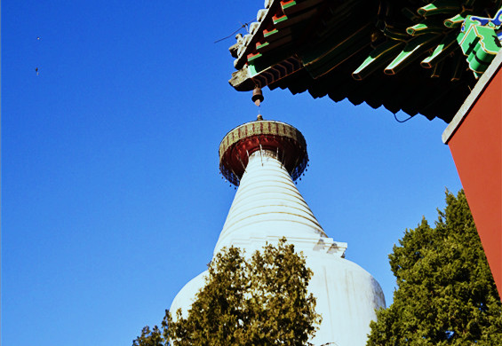妙应寺伫立京城700年！红墙、胡同与白塔……随手按下快门都是古今交之的穿越感