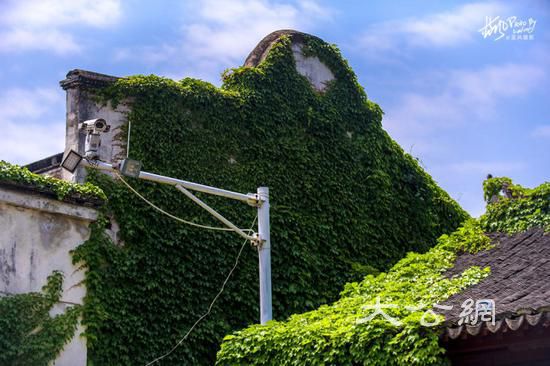 这座2000多年历史的江南古镇,小桥流水景色迷人,而且还免门票