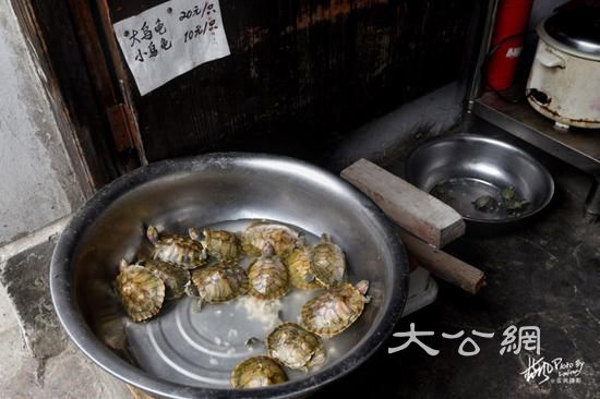 这座2000多年历史的江南古镇,小桥流水景色迷人,而且还免门票