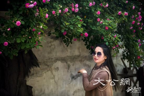 这座2000多年历史的江南古镇,小桥流水景色迷人,而且还免门票