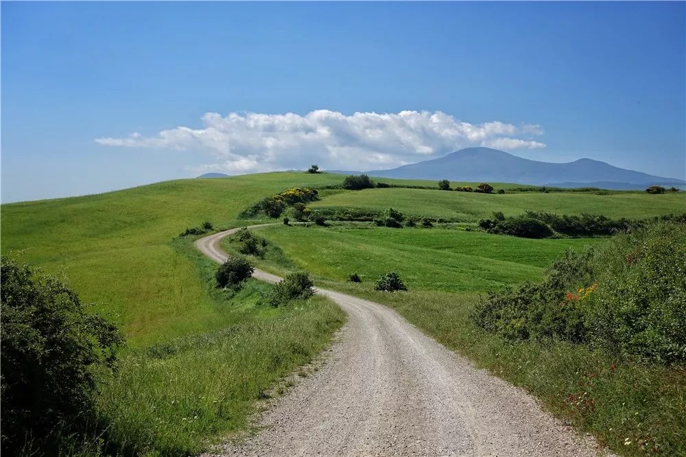 托斯卡纳：骑行奥尔恰谷 与一万株丝柏相逢