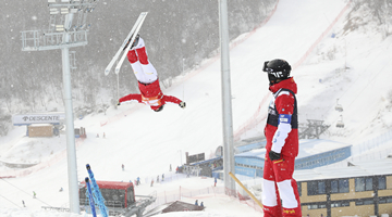 北京冬奥组委：正研究和制定境内观众票务的具体安排