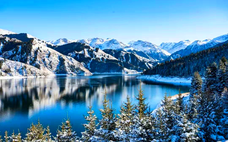 飞雪落枝头，冬景美如画，童话天池邀你来！