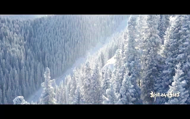 比利时新疆线上文化和旅游周展播 | 邂逅新疆冬日风光→