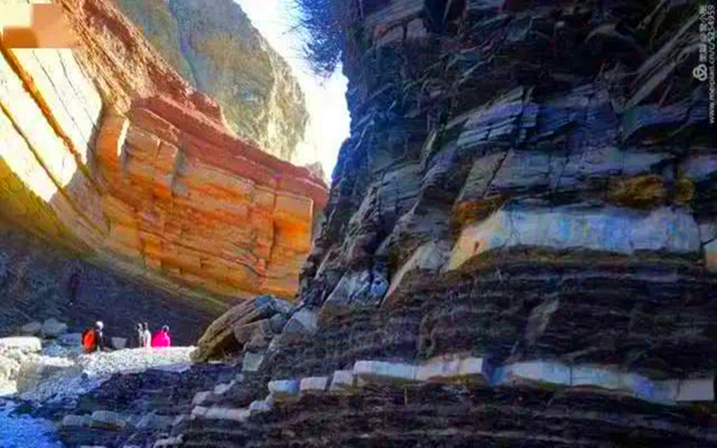 一起来看看4.5亿年前的海洋现在的模样