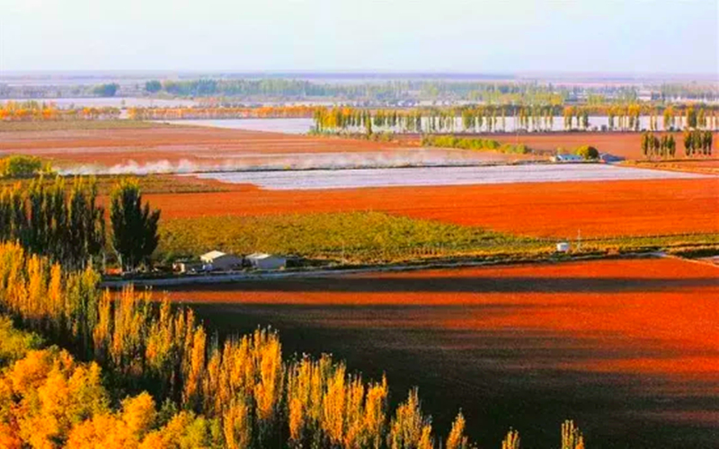 今天，小编陪你开启“云游”兵团模式！