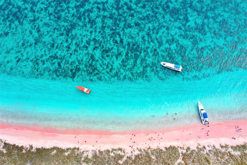 在科莫多国家公园与海龟对视、与魔鬼鱼擦肩……