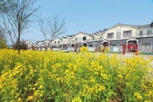 奏响河南乡村振兴的时代强音