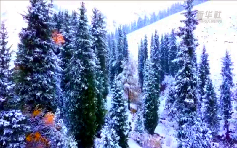 诗画新疆 | 六彩唐布拉